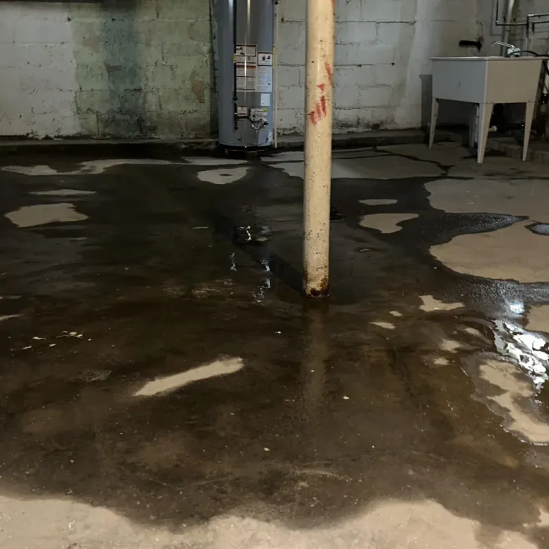 Emergency Water Extraction And Removal in Meigs, GA